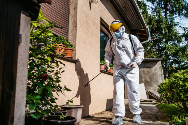 Best Affordable Pest Control Services  in George, IA