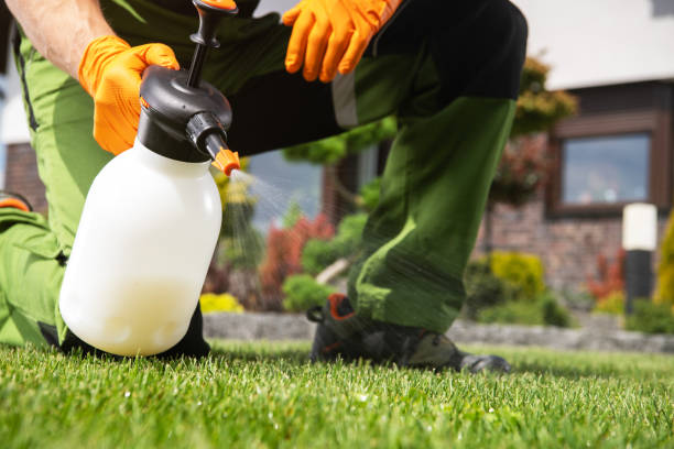 Professional Pest Control in George, IA