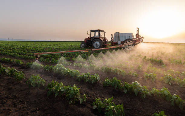 Best Best Pest Control Companies  in George, IA