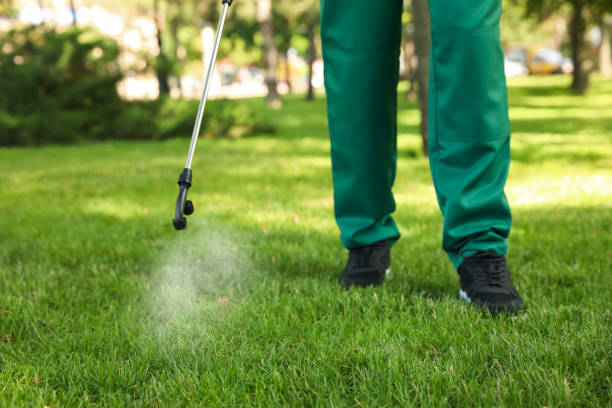 Best Wasp Removal Services  in George, IA