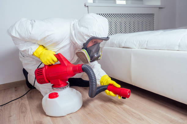 Best Local Pest Control Services  in George, IA
