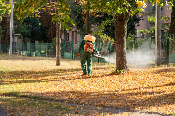 Best Pest Control for Businesses  in George, IA
