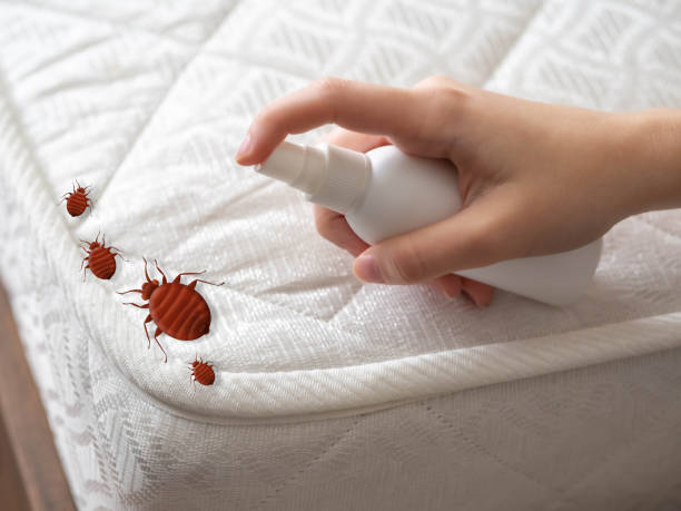 Best Pest Removal Services  in George, IA