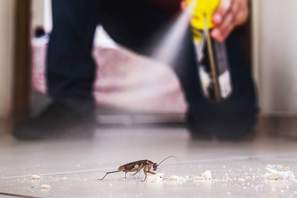 Best Wildlife Control Services  in George, IA